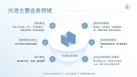 兴港主要业务领域